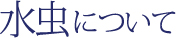 水虫について